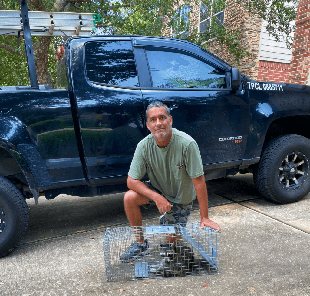 wildlife removal houston